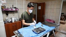 Kemer Belediyesi “Can dostlarına” sahip çıkıyor