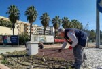 Kemer’de yeşil alanlarda bakım çalışması