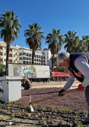 Kemer’de yeşil alanlarda bakım çalışması