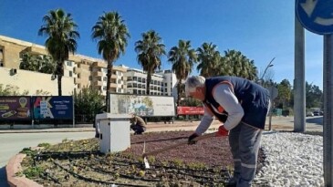 Kemer’de yeşil alanlarda bakım çalışması
