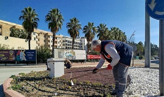Kemer’de yeşil alanlarda bakım çalışması
