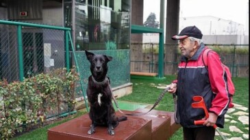 Maltepe’de “Pati Park” açıldı