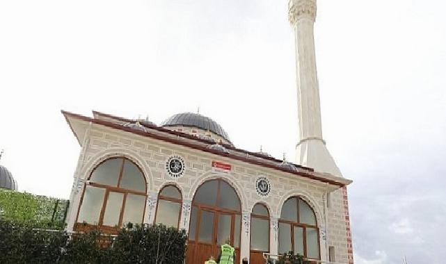 Menderes’te Mescitler Tertemiz