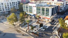 Menderes’te Sakız Ağacı Projesi