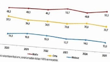 Ömür Memnuniyeti Araştırması, 2025