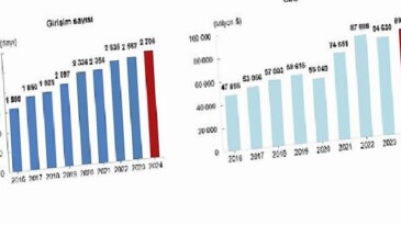 Yurt Dışında Denetim Edilen Teşebbüs İstatistikleri, 2024