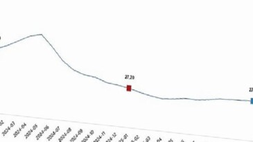 Yurt İçi Üretici Fiyat Endeksi, Ocak 2026