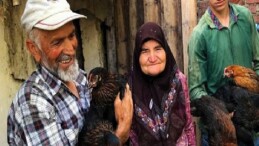 95 projeye 1 milyar 455 milyon TL dayanak