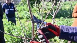 ATASEM’de uygulamalı ağaç budama eğitimi