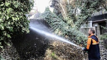 Başkent’in Simgesi Kuğulupark’ta Buharlı Paklık