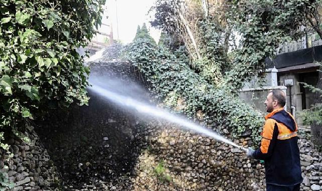 Başkent’in Simgesi Kuğulupark’ta Buharlı Paklık