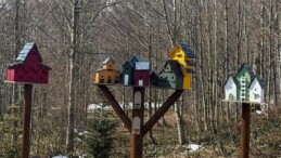 Bayramda kapınız tabiata açılsın