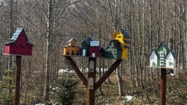 Bayramda kapınız tabiata açılsın