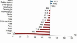 Bitkisel Eser İstikrar Tabloları, 2025
