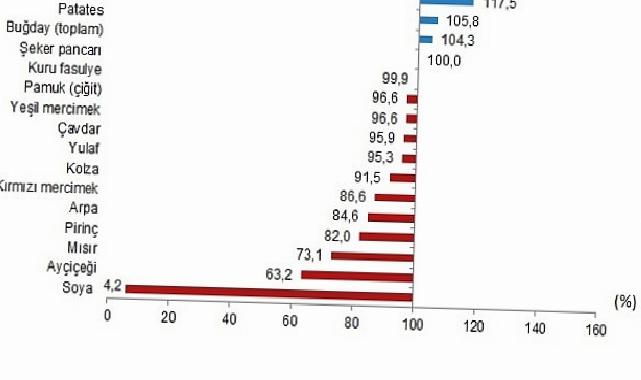 Bitkisel Eser İstikrar Tabloları, 2025