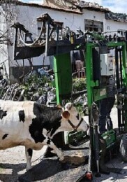 Büyükşehir’den Gündoğmuşlu üreticilere tırnak bakım takviyesi