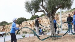 Didim Belediyesi, Didim’e Çıkan Yolları Daha Da Güzelleştiriyor