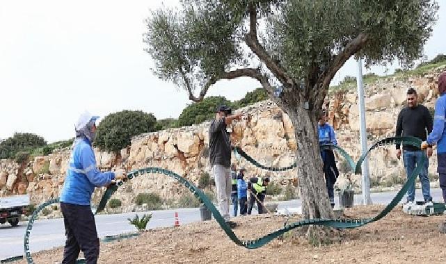 Didim Belediyesi, Didim’e Çıkan Yolları Daha Da Güzelleştiriyor