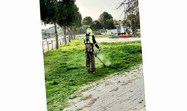 Didim Belediyesi’nin Çalışmaları ile İlçedeki Parklar Daha Hoş ve Daha Yeşil