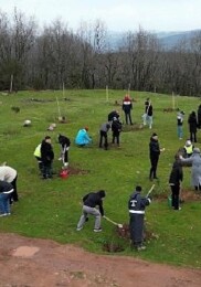 Fidanlar manisiz hayat için dikildi
