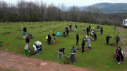 Fidanlar manisiz hayat için dikildi