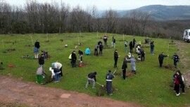 Fidanlar manisiz hayat için dikildi
