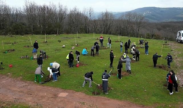 Fidanlar manisiz hayat için dikildi