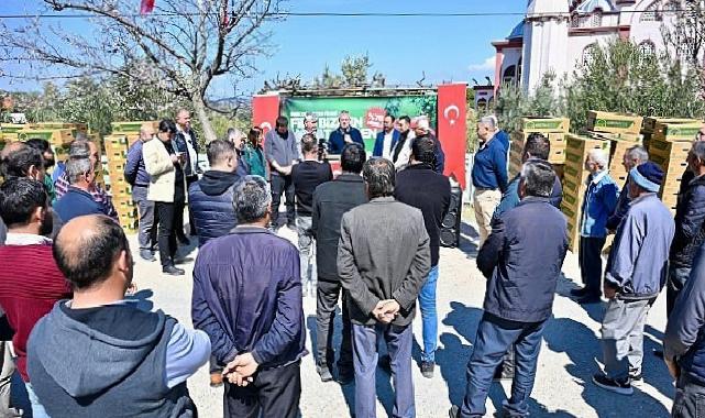 Gördes’te Üreticinin Yüzü Güldü: 73 Bin Domates Fidesi Toprakla Buluşuyor