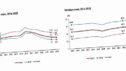 İşgücü İstatistikleri, 2025