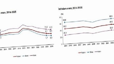 İşgücü İstatistikleri, 2025