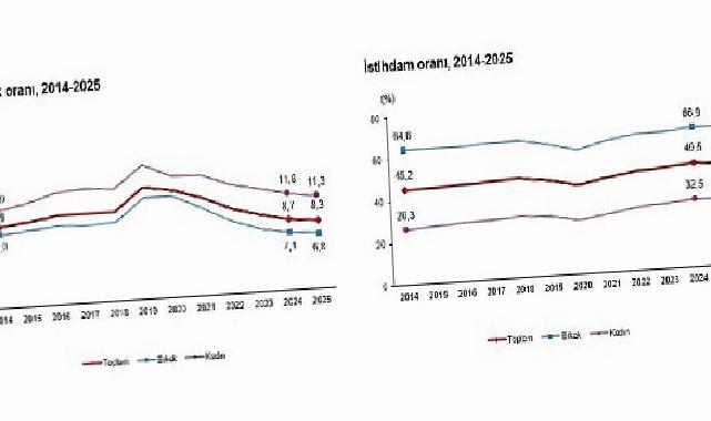 İşgücü İstatistikleri, 2025