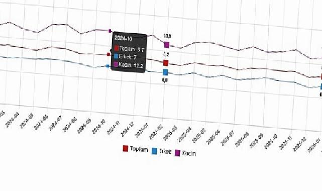 İşgücü İstatistikleri, Şubat 2026