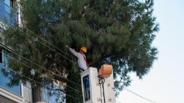 Karşıyaka’da budama seferberliği: Ağaçlar bahara hazırlanıyor