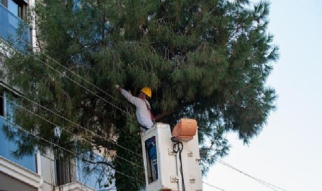 Karşıyaka’da budama seferberliği: Ağaçlar bahara hazırlanıyor