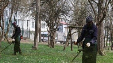 Kartepe’de Bahar Paklığı Yabani Ot ve Dikenler Temizleniyor