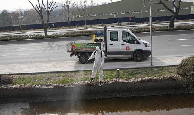 Keçiören’de Larva Uğraşı ve Bordo Bulamacı Uygulamaları Aralıksız Devam Ediyor