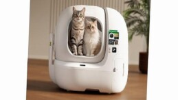 Kedilerin Saklı Dünyasına Yapay Zeka Merceği: Hastalıklar Artık Saklanamıyor