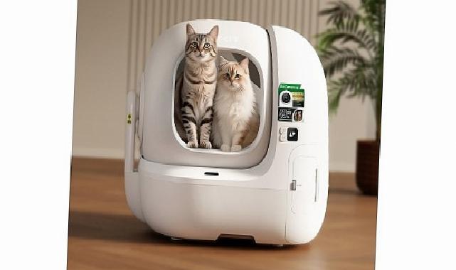 Kedilerin Saklı Dünyasına Yapay Zeka Merceği: Hastalıklar Artık Saklanamıyor