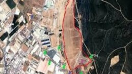 Lider Demir’den Kağıt Fabrikası Yansısı