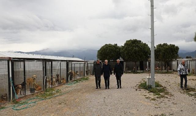 Lider Ertaş’tan sokak hayvanlarına ait açıklama