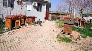 Lider Yetişkin: “Artık çöpe giden yemekler can dostlarımız için mamaya dönüşüyor”