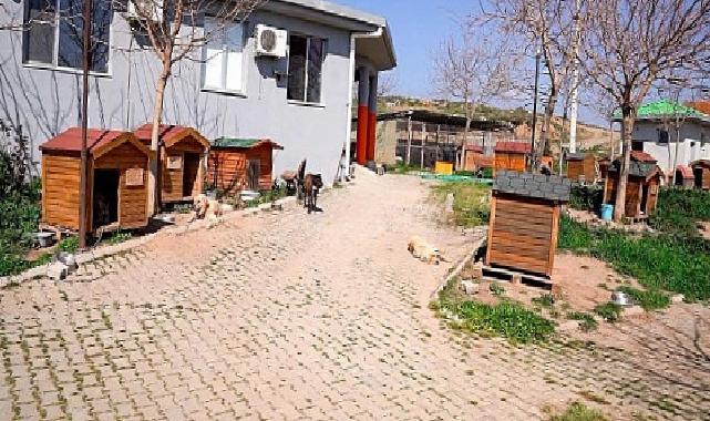 Lider Yetişkin: “Artık çöpe giden yemekler can dostlarımız için mamaya dönüşüyor”