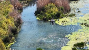 Manisa Büyükşehir Belediyesi’nden Vektörle Çabada Ağır Mesai
