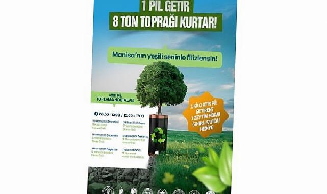 Manisa’da Etraf Seferberliği Tekrar Başlıyor: Atık Pil Getir, Zeytin Fidanını Al