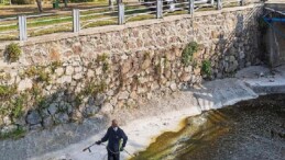 “Mevsimsel sinekler zararsız”