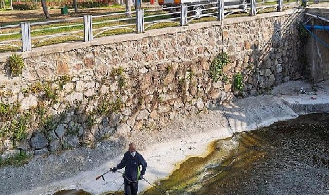 “Mevsimsel sinekler zararsız”