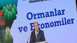 Ormanların Ekonomik Gücüne Dikkat Çekildi