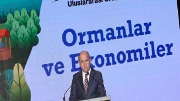 Ormanların Ekonomik Gücüne Dikkat Çekildi