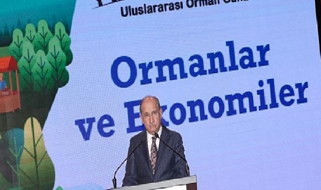 Ormanların Ekonomik Gücüne Dikkat Çekildi