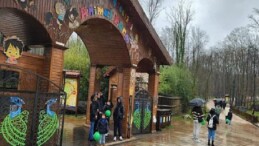 Ormanya bayramda tekrar dorukta